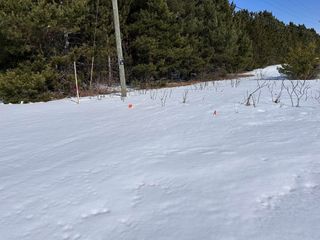 Honor Highway, Interlochen, MI 49643