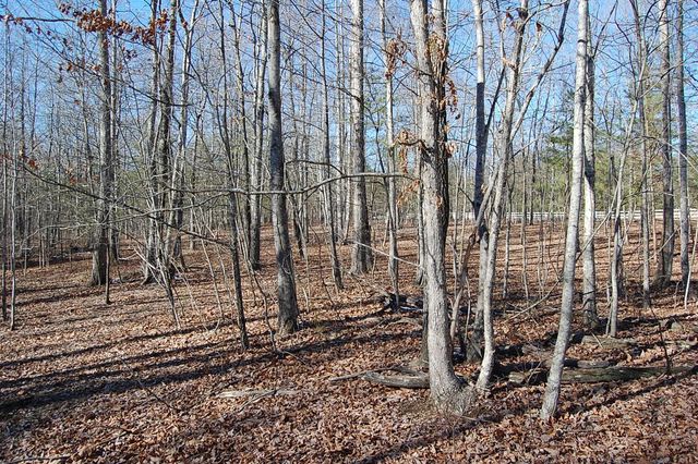 340 Bluff View Drive, Dunlap, TN 37327