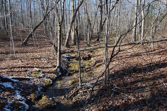 340 Bluff View Drive, Dunlap, TN 37327