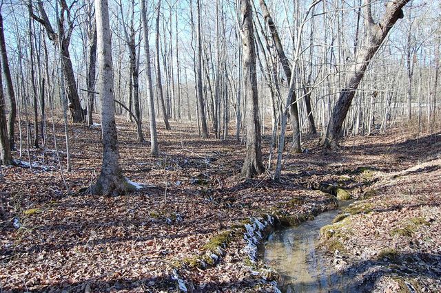 340 Bluff View Drive, Dunlap, TN 37327