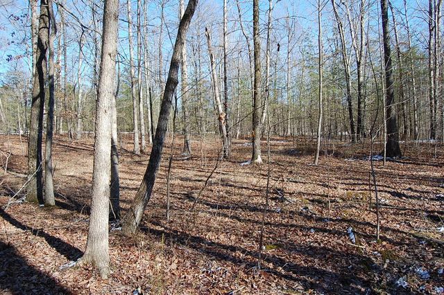 340 Bluff View Drive, Dunlap, TN 37327