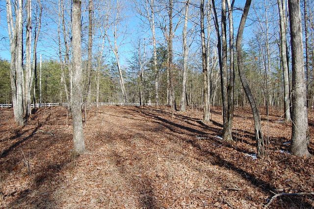 340 Bluff View Drive, Dunlap, TN 37327