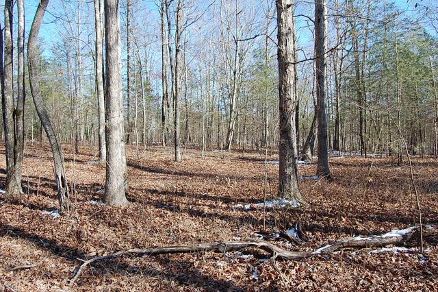 340 Bluff View Drive, Dunlap, TN 37327