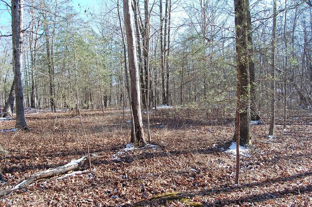 340 Bluff View Drive, Dunlap, TN 37327