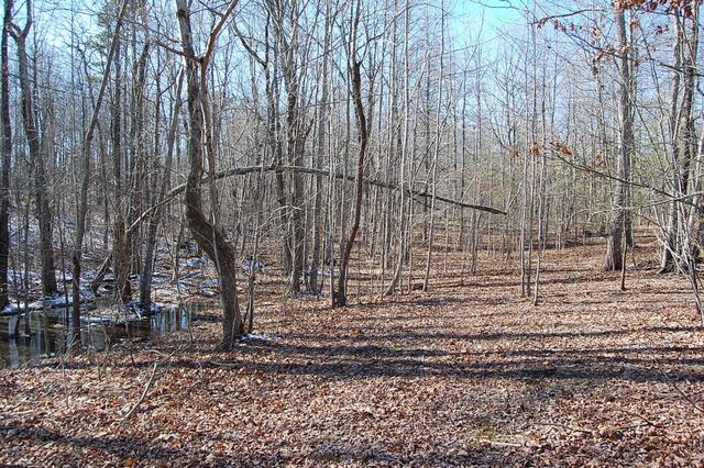 340 Bluff View Drive, Dunlap, TN 37327
