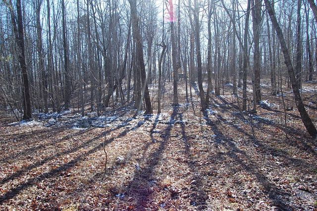 340 Bluff View Drive, Dunlap, TN 37327