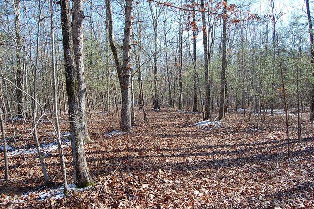 340 Bluff View Drive, Dunlap, TN 37327
