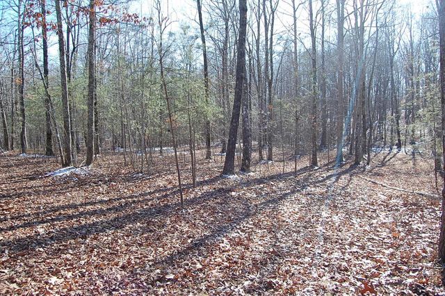 340 Bluff View Drive, Dunlap, TN 37327