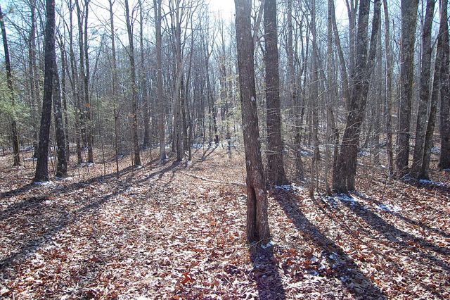 340 Bluff View Drive, Dunlap, TN 37327