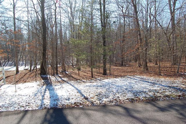 340 Bluff View Drive, Dunlap, TN 37327