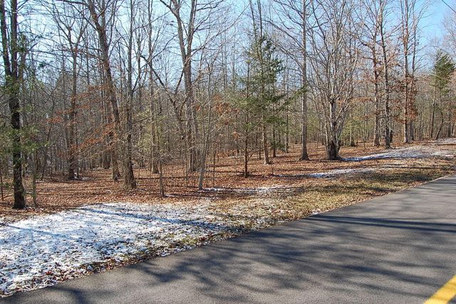 340 Bluff View Drive, Dunlap, TN 37327