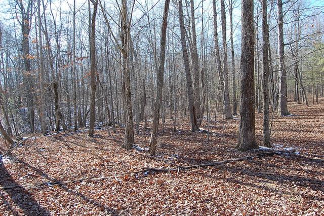 340 Bluff View Drive, Dunlap, TN 37327