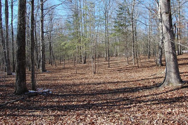 340 Bluff View Drive, Dunlap, TN 37327