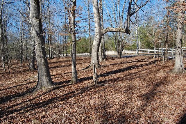 340 Bluff View Drive, Dunlap, TN 37327