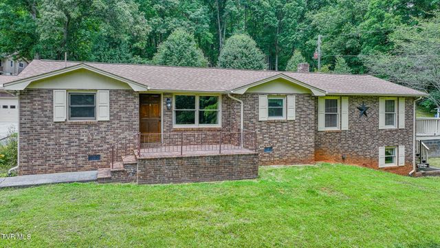 524 Cherokee Drive, Mount Carmel, TN 37645