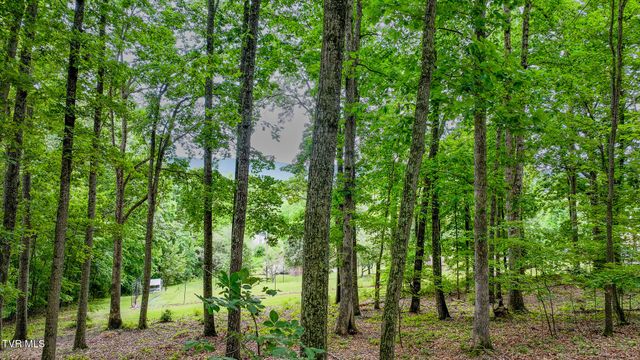 524 Cherokee Drive, Mount Carmel, TN 37645