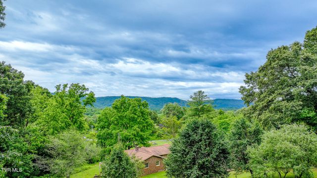 524 Cherokee Drive, Mount Carmel, TN 37645