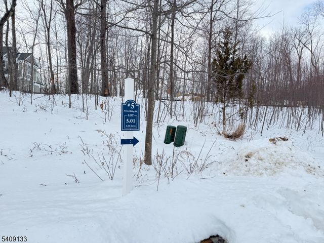 5 Bristol Ridge Rd, Boonton Twp., NJ 07005