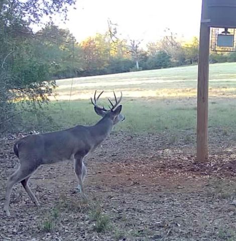3713 County Road 386, Marquez, TX 77865