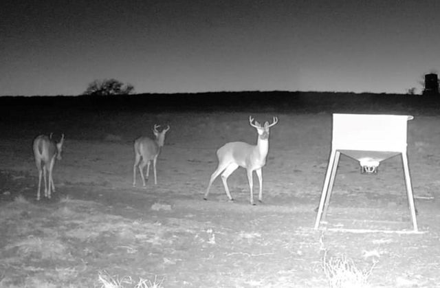 3713 County Road 386, Marquez, TX 77865