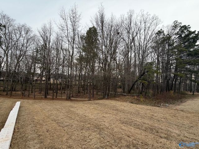 114 Oakland Church, Madison, AL 35756