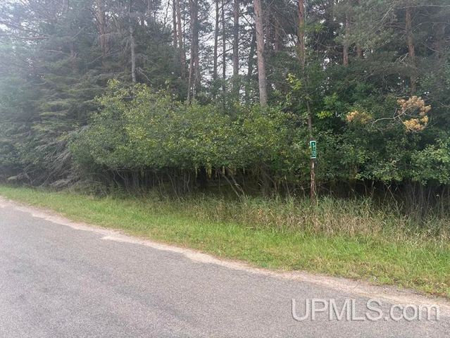 10088 S .75 Road, Rapid River, MI 49878