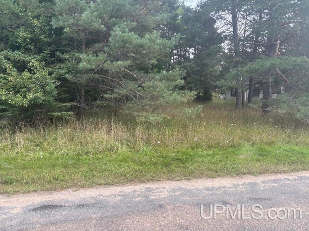 10088 S .75 Road, Rapid River, MI 49878