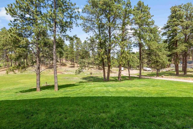 8746 SHERIDAN LAKE RD, Rapid City, SD 57702