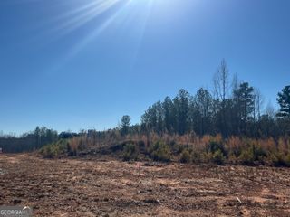 LOT 21 Piney Wood Drive 21, Newnan, GA 30263