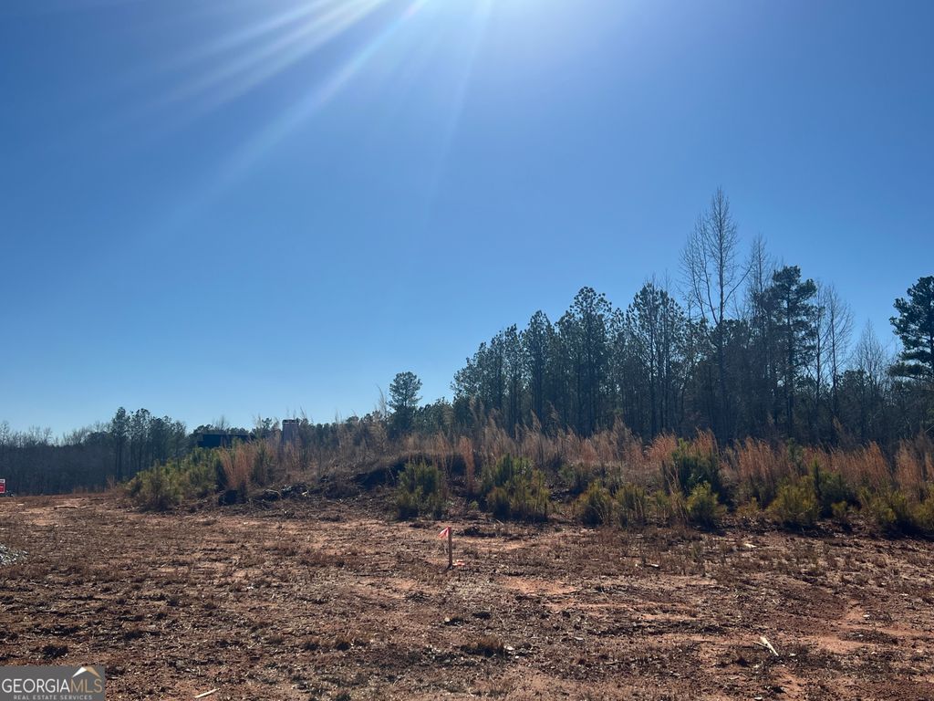 LOT 21 Piney Wood Drive 21, Newnan, GA 30263