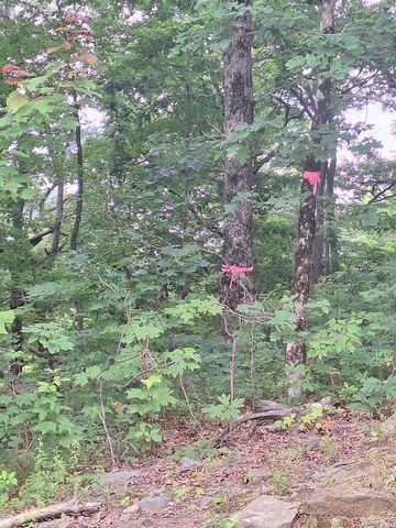 274 Andes Ridge, Morganton, GA 30560