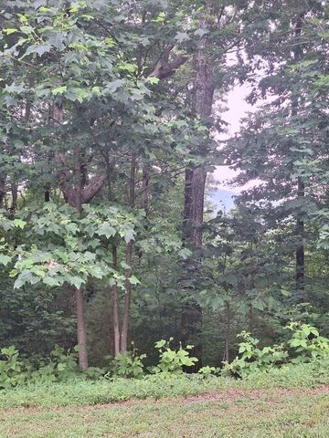 274 Andes Ridge, Morganton, GA 30560