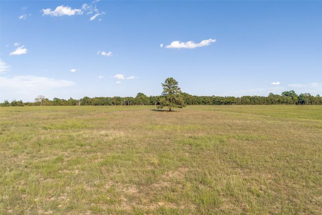 Tract 1 County Road 2975, Dodd City, TX 75438