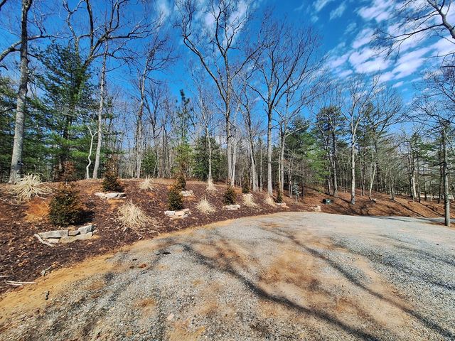 241 Wolf Creek Mountain Road, Mineral Bluff, GA 30559