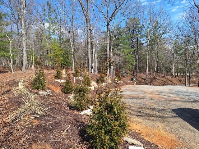 241 Wolf Creek Mountain Road, Mineral Bluff, GA 30559