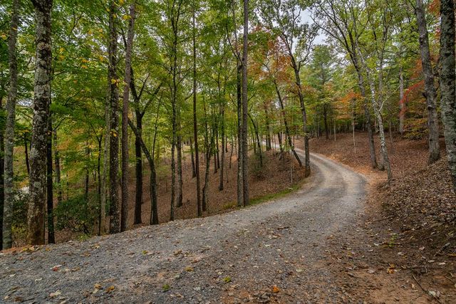 241 Wolf Creek Mountain Road, Mineral Bluff, GA 30559