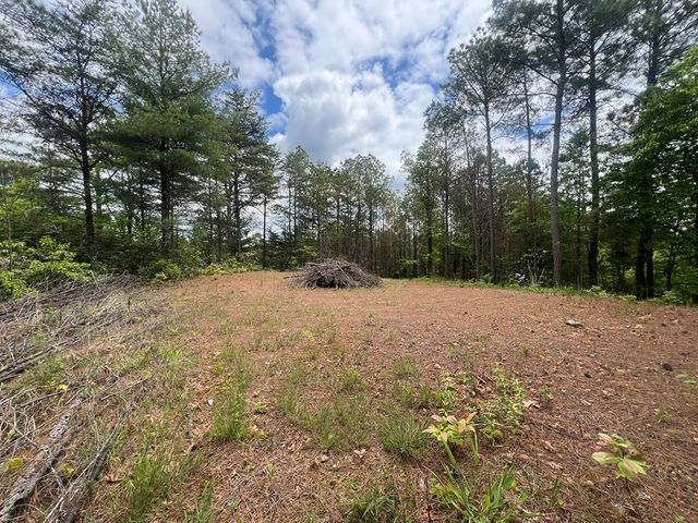 Lot 7 Skyline Drive, Turtletown, TN 37391