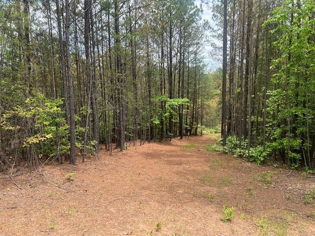 Lot 7 Skyline Drive, Turtletown, TN 37391
