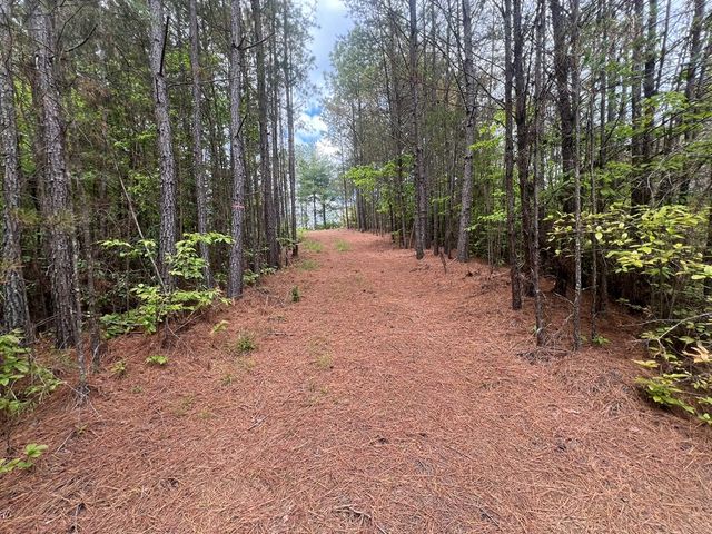 Lot 7 Skyline Drive, Turtletown, TN 37391
