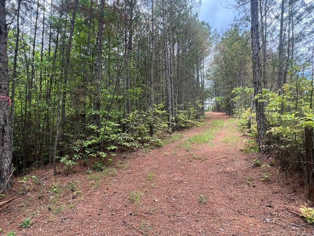 Lot 7 Skyline Drive, Turtletown, TN 37391