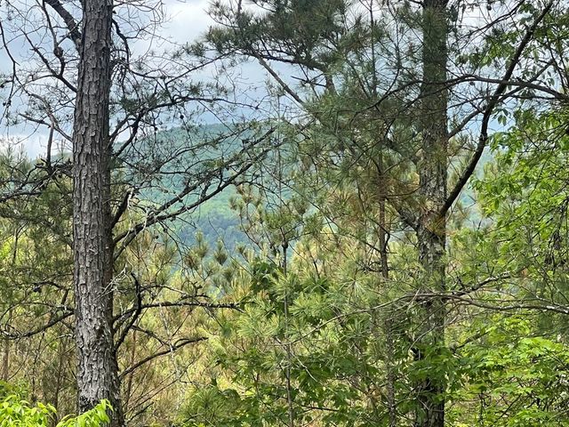 Lot 7 Skyline Drive, Turtletown, TN 37391