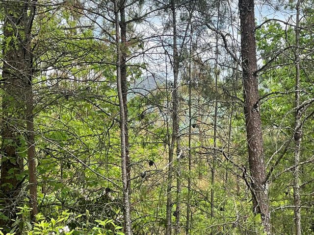 Lot 7 Skyline Drive, Turtletown, TN 37391