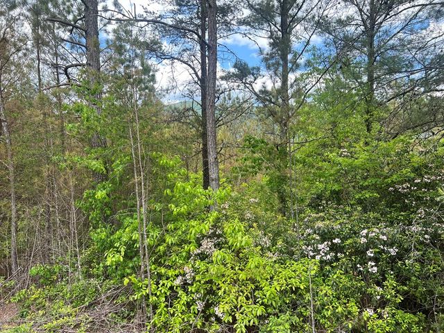 Lot 7 Skyline Drive, Turtletown, TN 37391