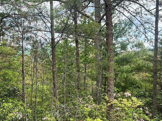 Lot 7 Skyline Drive, Turtletown, TN 37391