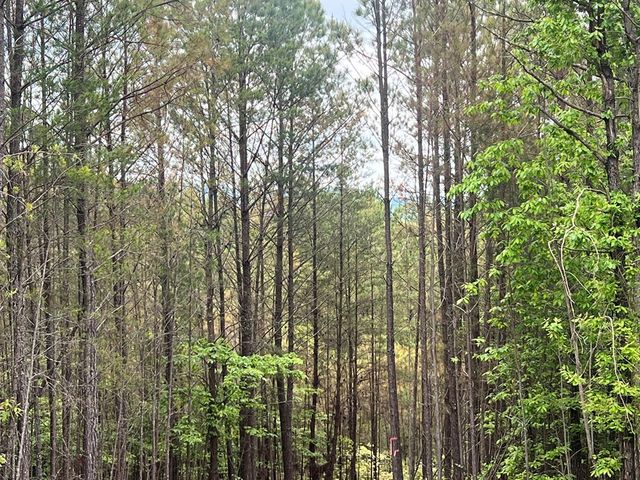 Lot 7 Skyline Drive, Turtletown, TN 37391