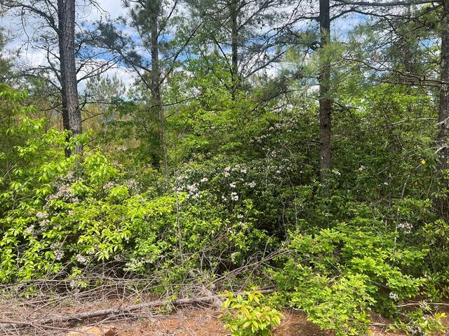 Lot 7 Skyline Drive, Turtletown, TN 37391