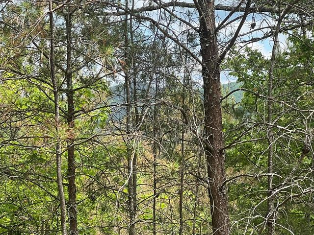 Lot 7 Skyline Drive, Turtletown, TN 37391