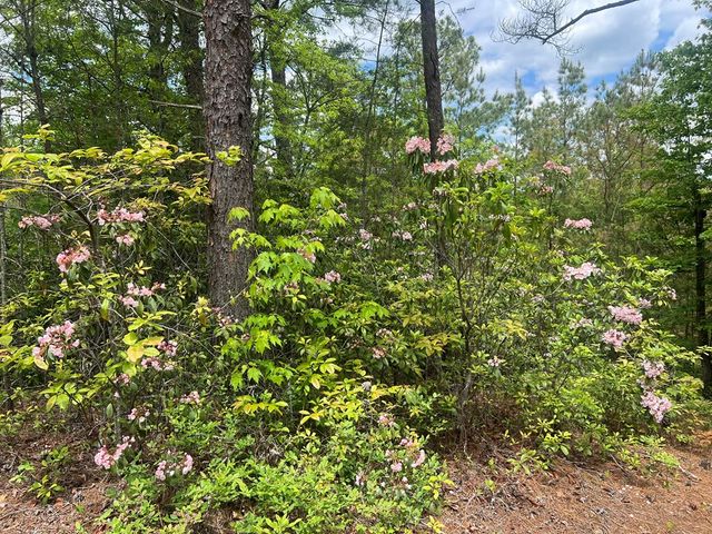 Lot 7 Skyline Drive, Turtletown, TN 37391