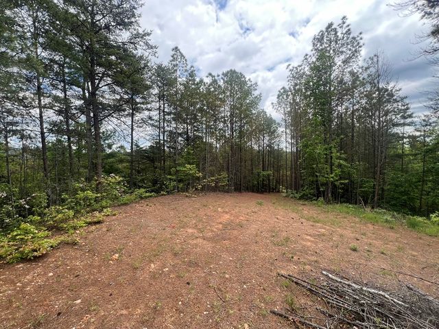 Lot 7 Skyline Drive, Turtletown, TN 37391