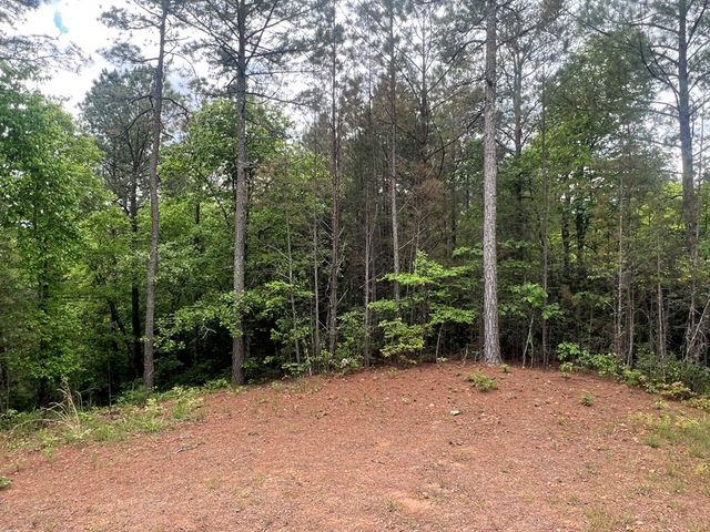 Lot 7 Skyline Drive, Turtletown, TN 37391
